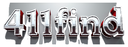 411find logo