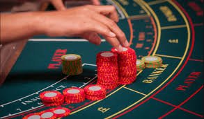 411find Live Betting Markets